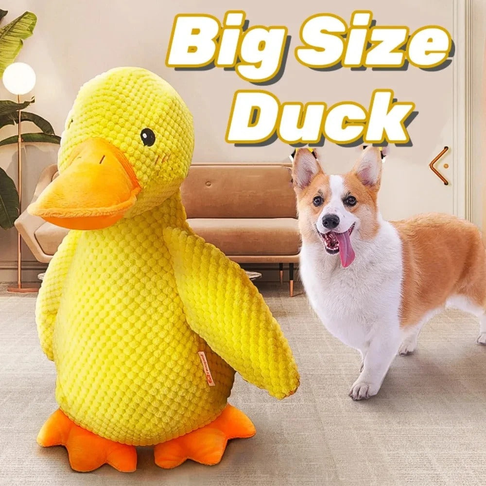 BIg SIze Duck Toy