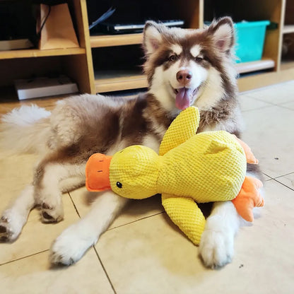 BIg SIze Duck Toy