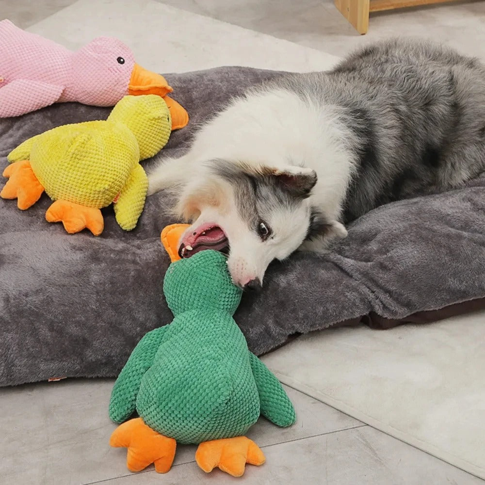 BIg SIze Duck Toy